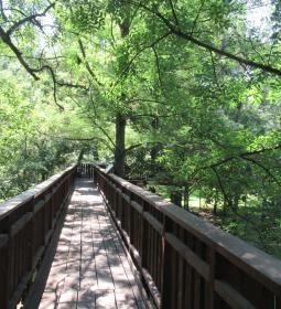 Erzsébet ligeti Lombkorona Sétány és Kilátó