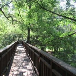 Erzsébet ligeti Lombkorona Sétány és Kilátó Gyomaendrőd - Egyéb