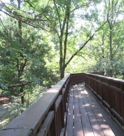 Erzsébet ligeti Lombkorona Sétány és Kilátó