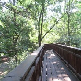 Erzsébet ligeti Lombkorona Sétány és Kilátó Gyomaendrőd - Egyéb