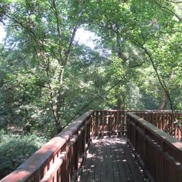 Erzsébet ligeti Lombkorona Sétány és Kilátó Gyomaendrőd - Egyéb