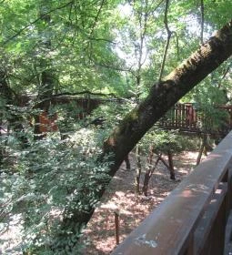 Erzsébet ligeti Lombkorona Sétány és Kilátó