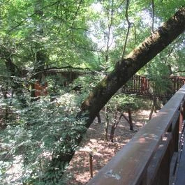 Erzsébet ligeti Lombkorona Sétány és Kilátó Gyomaendrőd - Egyéb