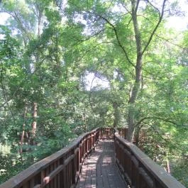 Erzsébet ligeti Lombkorona Sétány és Kilátó Gyomaendrőd - Egyéb