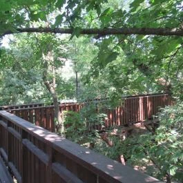 Erzsébet ligeti Lombkorona Sétány és Kilátó Gyomaendrőd - Egyéb