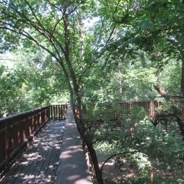 Erzsébet ligeti Lombkorona Sétány és Kilátó Gyomaendrőd - Egyéb