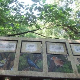 Erzsébet ligeti Lombkorona Sétány és Kilátó Gyomaendrőd - Egyéb