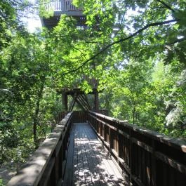 Erzsébet ligeti Lombkorona Sétány és Kilátó Gyomaendrőd - Egyéb