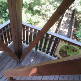 Erzsébet ligeti Lombkorona Sétány és Kilátó Gyomaendrőd - Egyéb