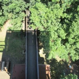 Erzsébet ligeti Lombkorona Sétány és Kilátó Gyomaendrőd - Egyéb