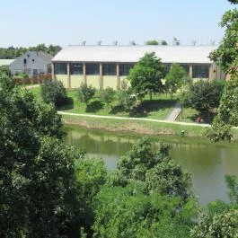 Erzsébet ligeti Lombkorona Sétány és Kilátó Gyomaendrőd - Egyéb