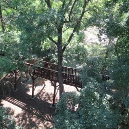 Erzsébet ligeti Lombkorona Sétány és Kilátó Gyomaendrőd - Egyéb