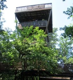 2. legjobb látnivaló: Erzsébet ligeti Lombkorona Sétány és Kilátó