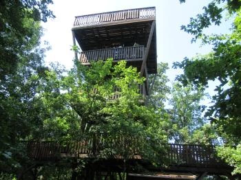 Erzsébet ligeti Lombkorona Sétány és Kilátó Gyomaendrőd