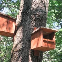 Erzsébet ligeti Lombkorona Sétány és Kilátó Gyomaendrőd - Egyéb