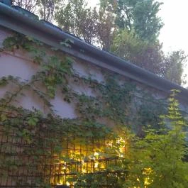 Este11 Budapest - Belső