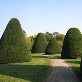 Esterházy-Kastély, Fertőd - 