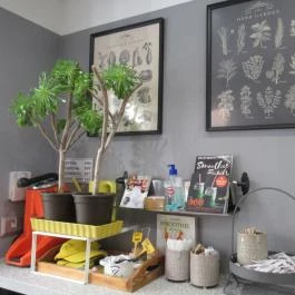 Esther's Budapest - Belső