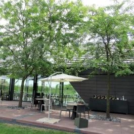 Etyeki Kúria, Etyek - Egyéb