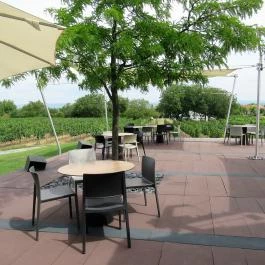 Etyeki Kúria, Etyek - Egyéb