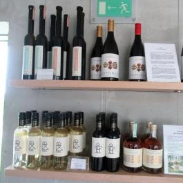 Etyeki Kúria, Etyek - Egyéb