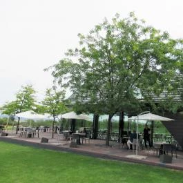 Etyeki Kúria, Etyek - Egyéb