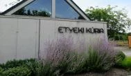 Etyeki Kúria Etyek - Egyéb