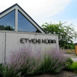 Etyeki Kúria, Etyek - Egyéb