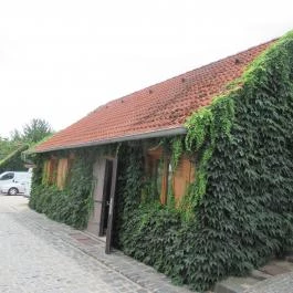 Etyeki Kúria, Etyek - Egyéb