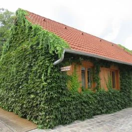 Etyeki Kúria, Etyek - Egyéb