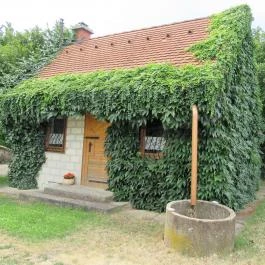 Etyeki Kúria, Etyek - Egyéb