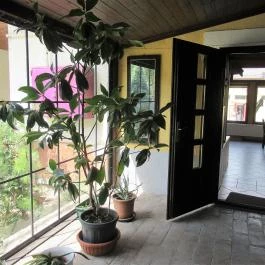 Etyeki Presszó, Etyek - Egyéb