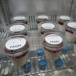 Fågel by Artizán Budapest - Étel/ital