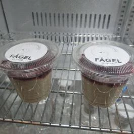 Fågel by Artizán Budapest - Étel/ital