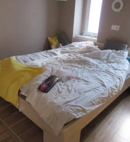 FAND Center Apartman