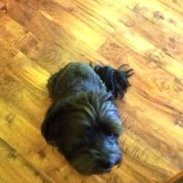 Farger Kávézó, Budapest - Egyéb