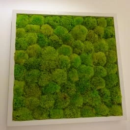 Farmbistro - Bartók Béla út Budapest - Belső