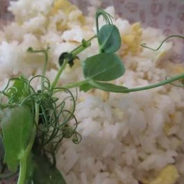 Fasírt Kitchen, Budapest - Étel/ital