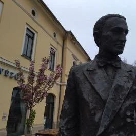 Fátyol Misi cigányprímás, Makó - Egyéb