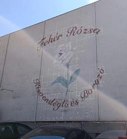 Fehér Rózsa Fogadó étterme