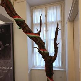 Fekete ház, Szeged - Egyéb