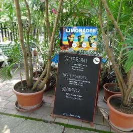 Feketerigó Étterem Mátrafüred - Külső kép