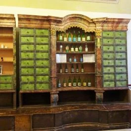 Fekete Sas Patikamúzeum, Székesfehérvár - 