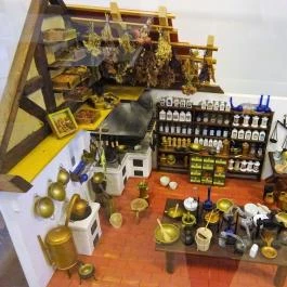 Fekete Sas Patikamúzeum, Székesfehérvár - 