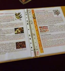 Fekete Sas Patikamúzeum