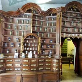 Fekete Sas Patikamúzeum, Székesfehérvár - 