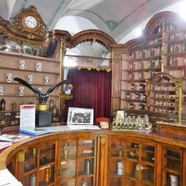 Fekete Sas Patikamúzeum, Székesfehérvár - 