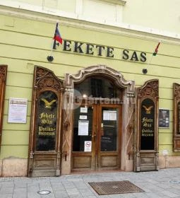 Fekete Sas Patikamúzeum