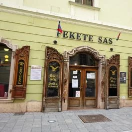 Fekete Sas Patikamúzeum, Székesfehérvár - 