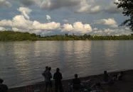 Fellini Római Kultúrbisztró Budapest